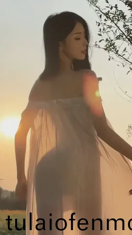 中文字幕综合网