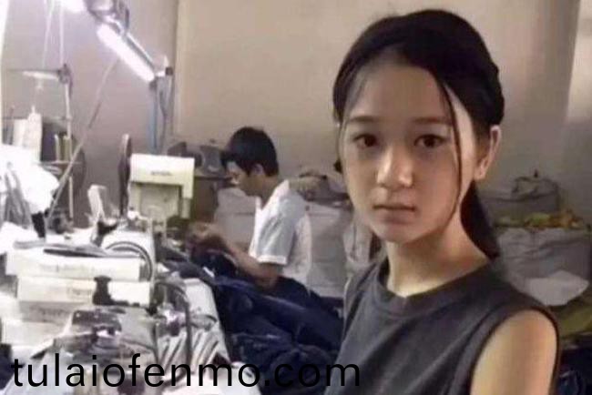精品国在线观看视频在线播放