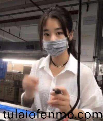 免费国产成人高清在线视频