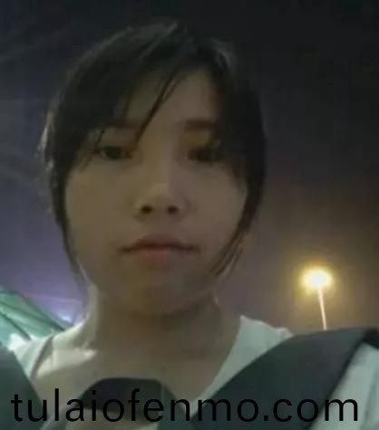 99久久精品免费看国产