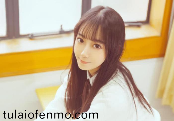 日韩在线观看视频免费