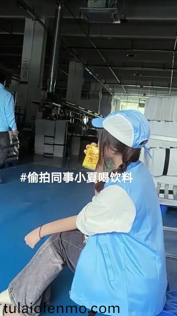 国产一区二区三区在线观看精品