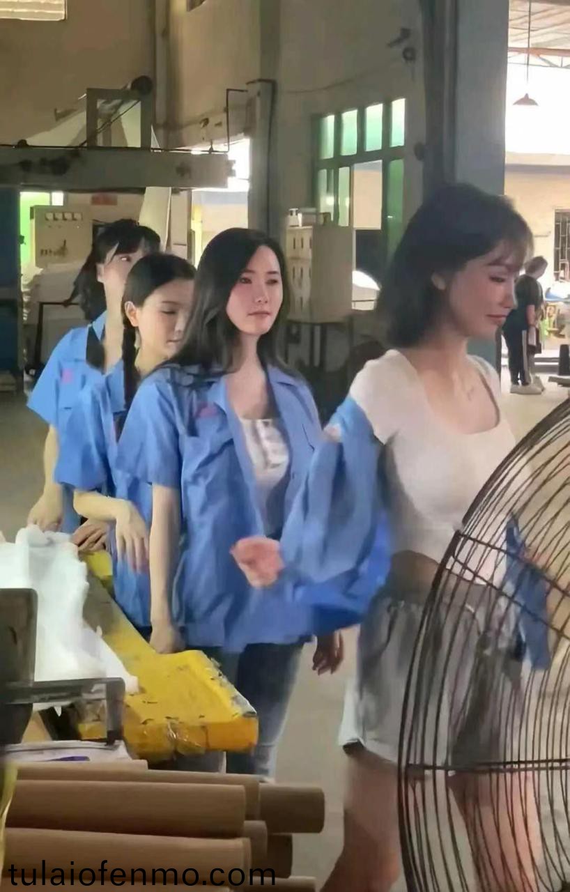 毛片免费观看久久欧美