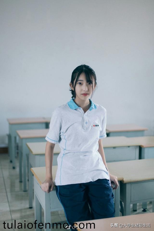成人精品视频在线观看不卡