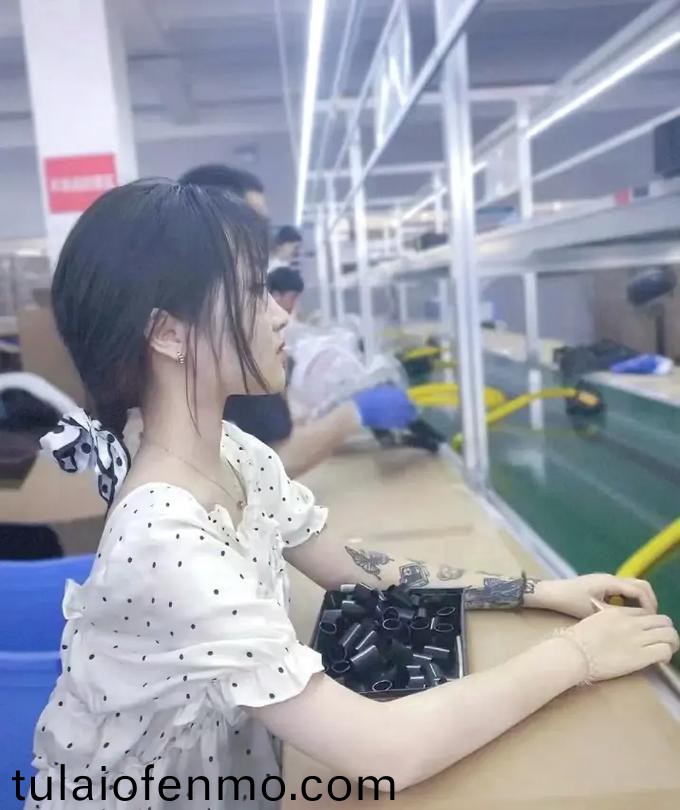 精品久久久久久国产