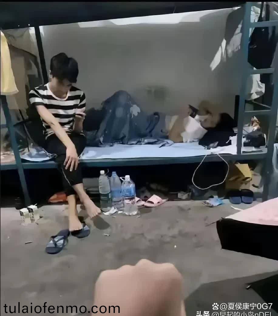 日本一区二区不卡久久入口